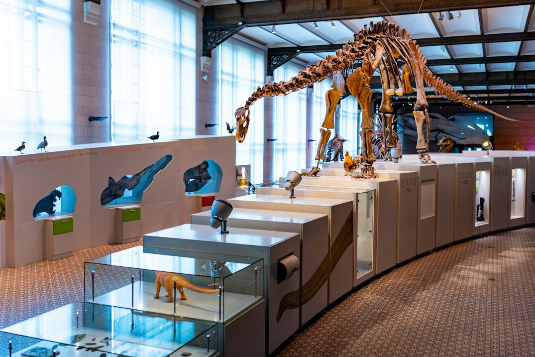 Museumsinnenraum mit Glasvitrinen und gedämpfter Ausstellungsbeleuchtung