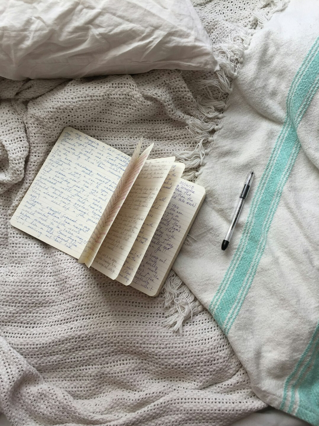 psychology book and notes