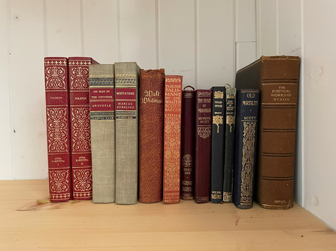 Großes altes Bücherregal mit gebundenen Forschungsbänden